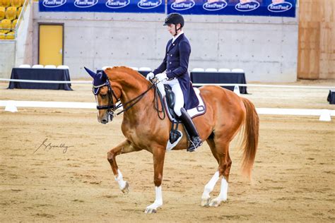 Team Performance Success At The 2019 Nsw Dressage Championships