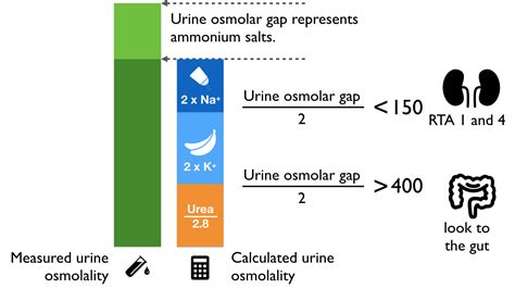 Urine Anion Gap Precious Bodily Fluids