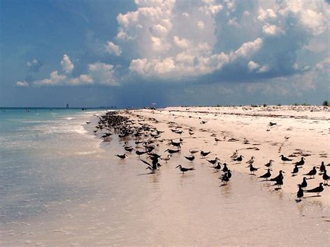 Egmont Key State Park Florida Flickr Photo Sharing