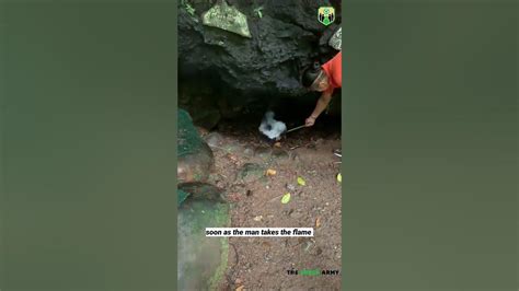 The Cave Of Death In Costa Rica Youtube