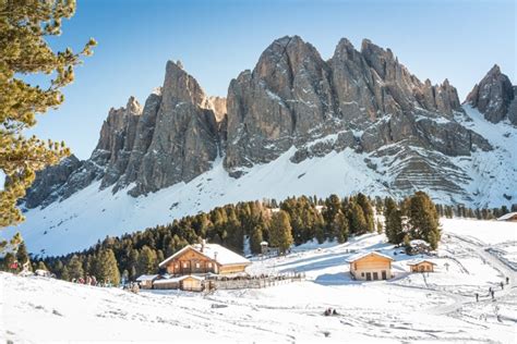 10 Masi Da Visitare Assolutamente In Trentino Alto Adige Idee Di