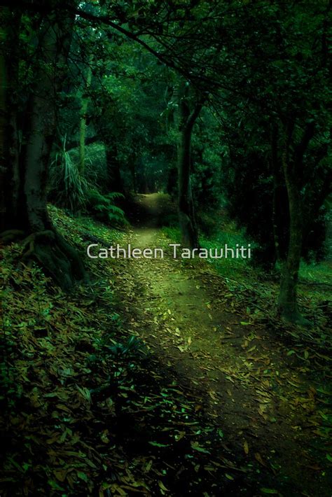 Enchanted Forest By Cathleen Tarawhiti Redbubble