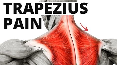 4 Trapezius Muscle Pain Exercises My Go To For Quick Relief Youtube