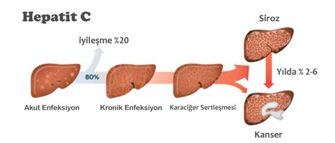 Buna yol açan ve sık rastlanan bazı nedenler şu şekilde listelenebilir Hepatit C Testi Fiyatları 2020 | İstanbul Laboratuvarları