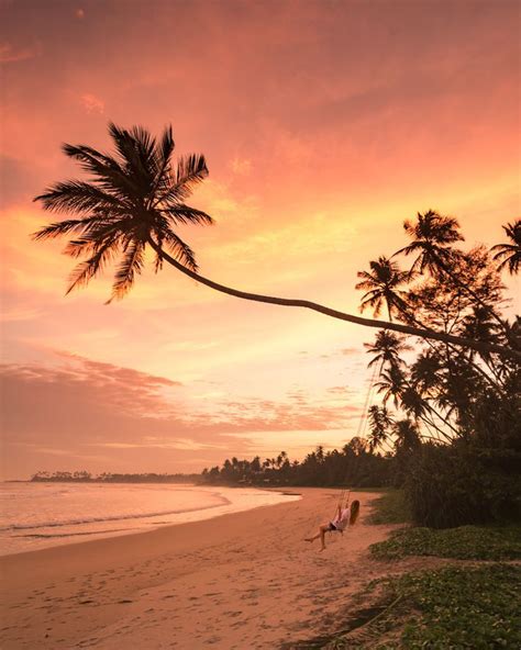 The Best Things To Do In Mirissa Beach And The South Coast Of Sri Lanka