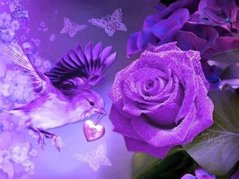 590 Best Images About All Things Purple On Pinterest Purple Flowers