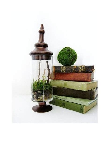 Apothecary Terrarium A Walk In The Forest Etsy Apothecary