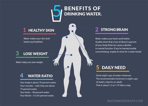 5 Benefits Of Drinking Water Infographic Hydration Tips Drinking Water Benefits Of Drinking