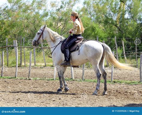 Cavaleiro Da Mulher Montado No Cavalo Branco Foto Editorial Imagem De