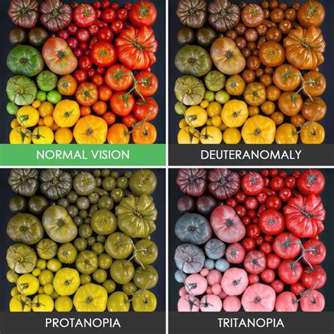 3 Types Of Color Blindness Symptoms Tests And Treatments
