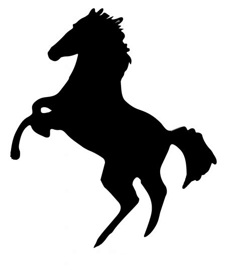 Jumping Horse Silhouette Free Stock Photo Public Domain Pictures
