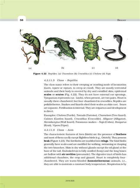 Ncert Book Class 11 Biology Chapter 4 Animal Kingdom Pdf