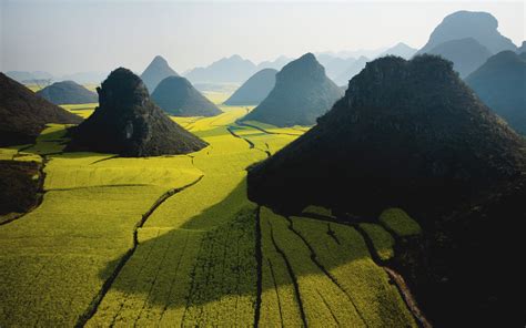 Rapeseed Hill Landscape Nature China Mist Sunlight