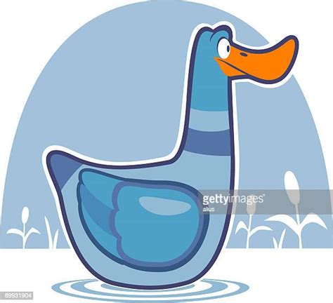 Ducks Quacking Photos And Premium High Res Pictures Getty Images