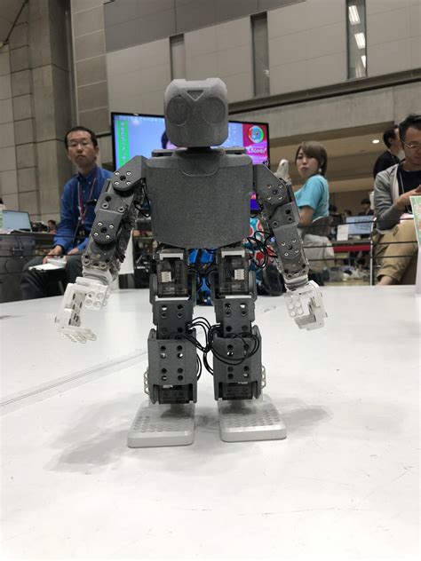 My 3d Printed Humanoid Robot R3dprinting