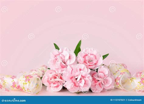 Mothers Day Backgrounds Pink Carnations On The Pink Background Stock