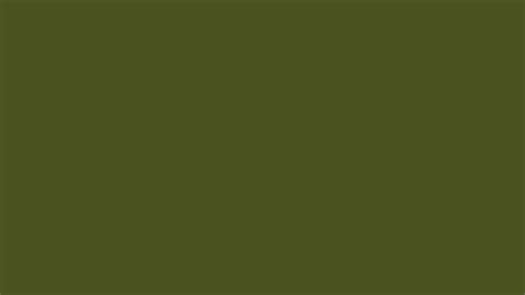 2560x1440 Army Green Solid Color Background