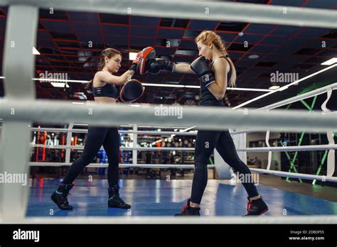 Two Women In Gloves Boxing On The Ring Box Workout Female Boxers In Gym Kickboxing Sparring