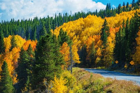 Great Places To See The Fall Leaves In Colorado New Spring