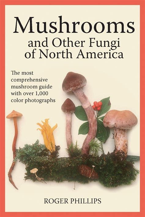 North American Mushroom Guide All Mushroom Info
