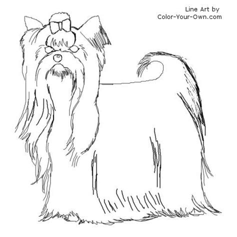 teacup yorkie coloring pages coloring pages