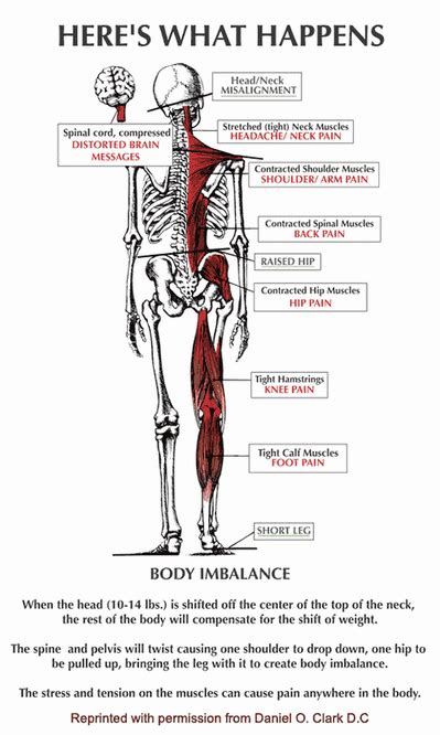 Diagram of human body, liver rib cage, rib cage diagram labeled, rib cage diagram numbered, rib cage diaphragm, rib cage heart, rib cage organs anatomy, rib cage pain, stomach, diagram of human body, liver rib cage, rib cage diagram labeled, rib cage diagram numbered, rib cage diaphragm, rib cage. Pin on Yoga
