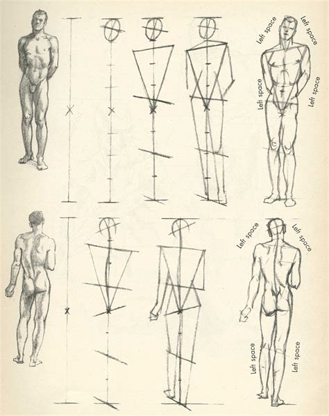 figure drawing Arte de anatomía humana Dibujos figura humana Dibujo