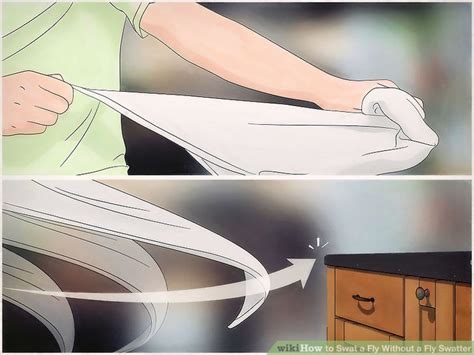 3 ways to swat a fly without a fly swatter wikihow