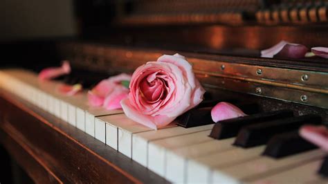 7 Of The Most Romantic Piano Pieces Ever Written Piano Piano Music