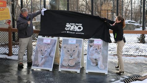 8 Photos Lion Cub Names Revealed