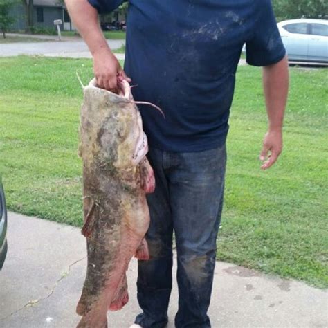Biggest Catches In Mississippi River