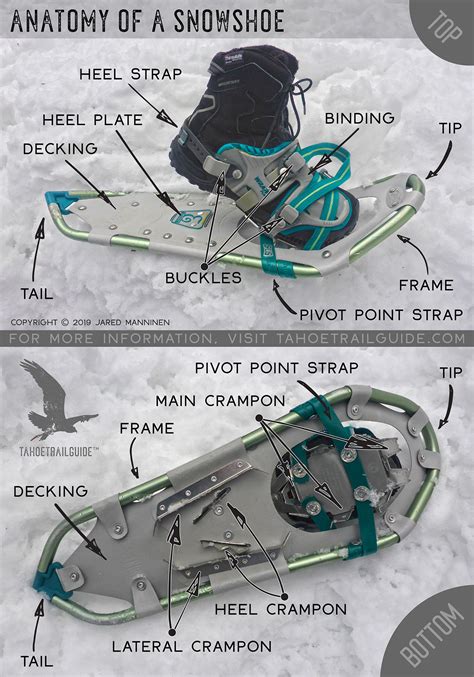 Snowshoeing Basics Part 1 Introduction To Snowshoes Tahoe Trail Guide