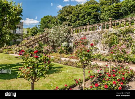 Rose Garden At Norman Castle Haddon Hall Near Bakewell Derbyshire