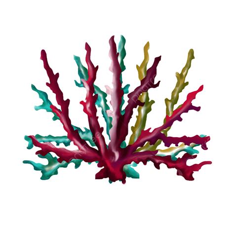 Coral Png Image Coral Coral Clipart Hand Painted Coral Cartoon