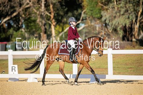 Equine Images Victoria Victorian Equestrian Interschool State