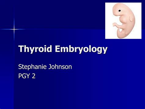 Ppt Thyroid Embryology Powerpoint Presentation Free Download Id464147