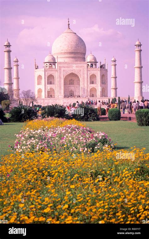 Taj Mahal Flowers Agra India Stockfotos Und Bilder Kaufen Alamy