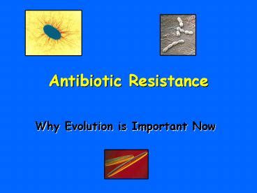 PPT Antibiotic Resistance PowerPoint Presentation Free To Download Id A YTU O