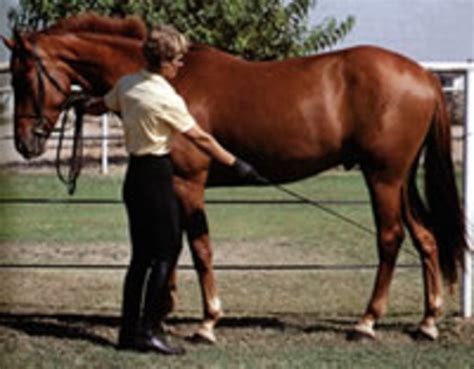 A Woman Standing Next To A Brown Horse