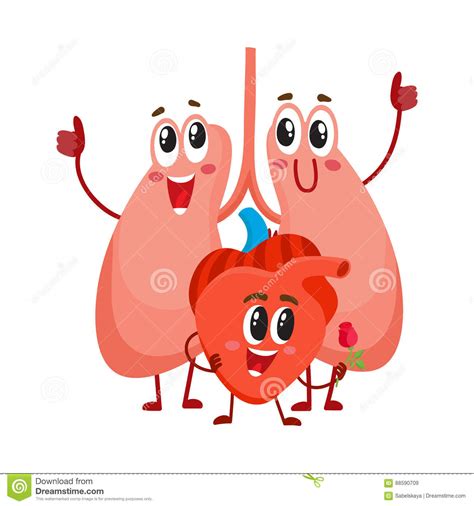 Funny Smiling Human Lungs And Heart Characters Chest Internal Organs