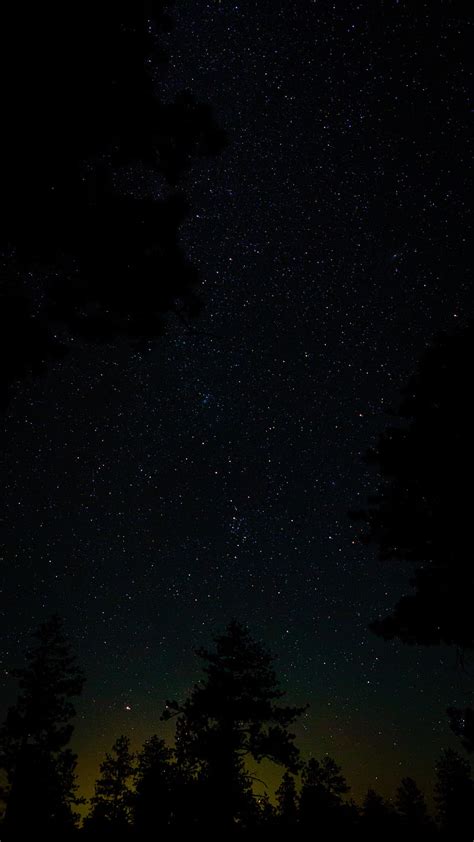 Spruce Starry Sky Stars Night Hd Phone Wallpaper Peakpx