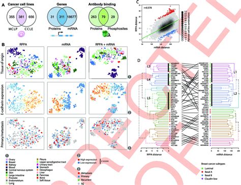 Pan Cancer Cell Line Data From Ccle Transcriptomic And Reverse Phase