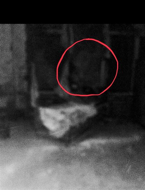 Pennhurst Asylum Demon Paranormal Photos Best Ghost Stories Spooky Places