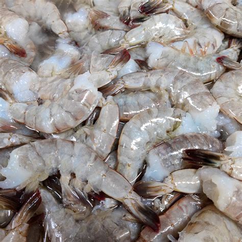 Frozen Peeled Raw Shrimp Lb Ubicaciondepersonas Cdmx Gob Mx