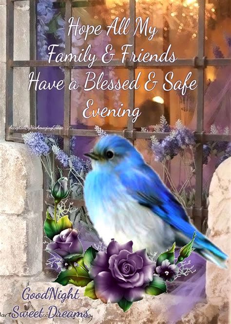 Blessed And Safe Evening Pictures Photos And Images For Facebook