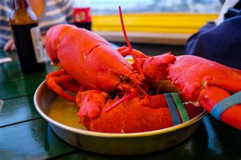 The Best Bar Harbor Lobster Pounds For Your Trip