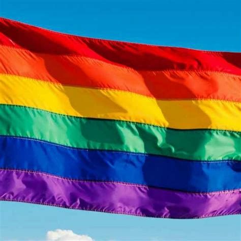 Flag Will Fly In Wilton Manors Florida Home