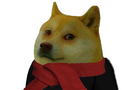 Doge With Scarf Rdogelore Ironic Doge Memes Know Your Meme