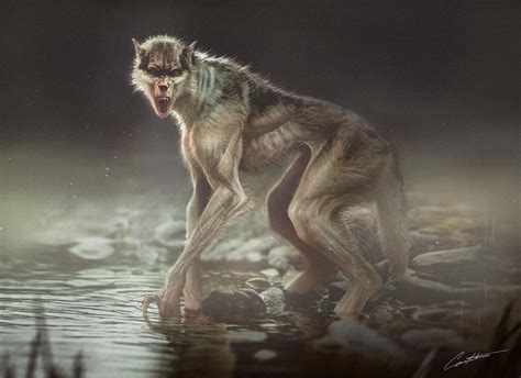 Artstation Werewolf Creature Design Constantine Sekeris Werewolf