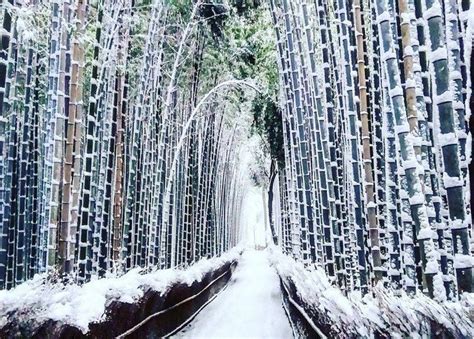 Rare Heavy Snowfall Turns Kyoto Into Winter Wonderland And The Photos